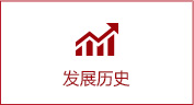 发展历史
