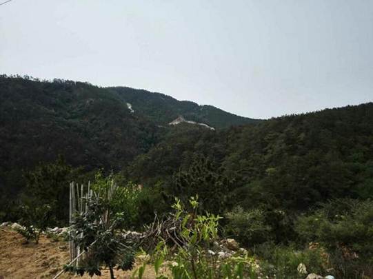 说明: IMG_258