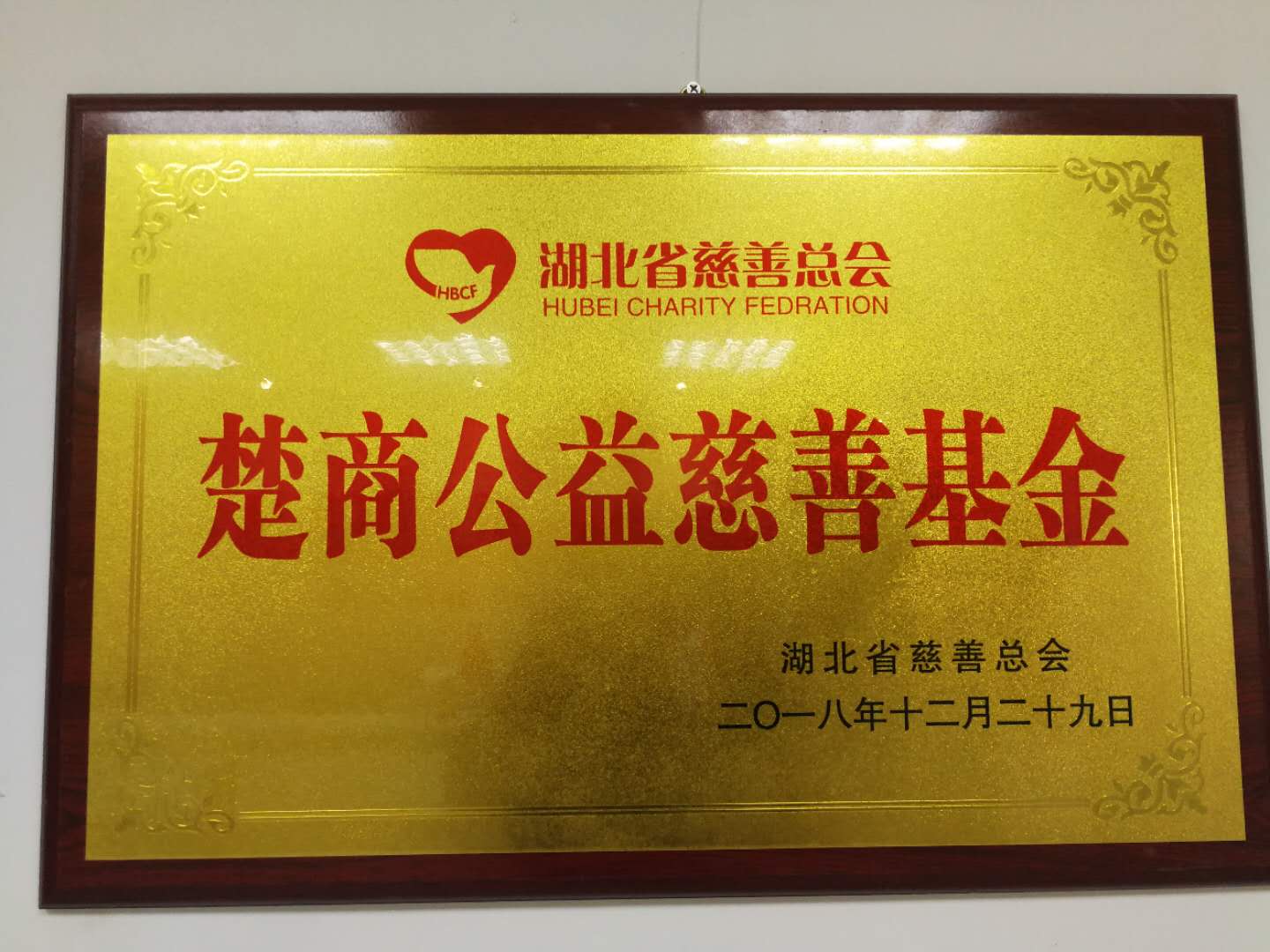 2018年授予“楚商公益慈善基金”