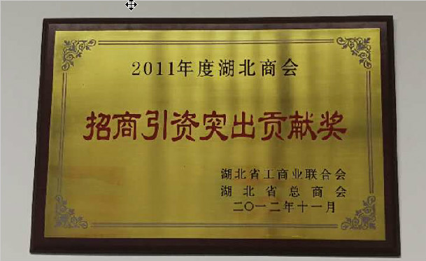 湖北工商联授予2011年“招商引资突出贡献奖”