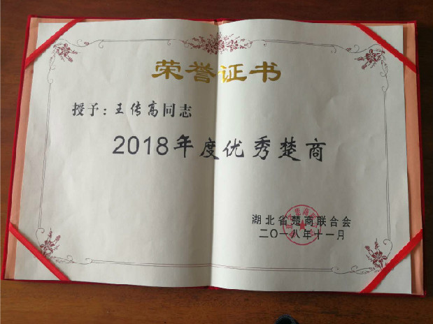 王传高会长“2018年度优秀楚商”